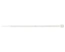 Collier de serrage en nylon 2,5x100mm (100 unités) | 11101919