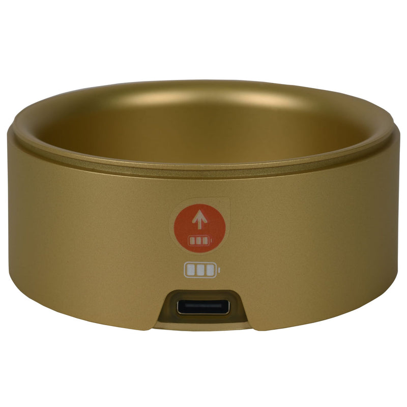 Base de chargeur Rowenta SS-1810002004